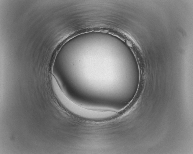X0000115720873200911251915