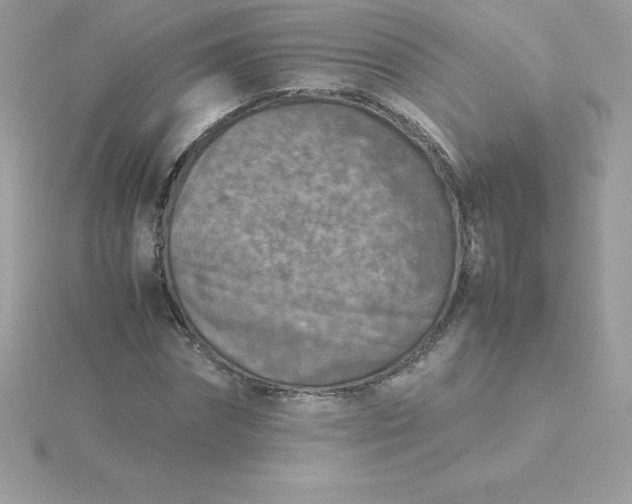 X0000115720874200911251915
