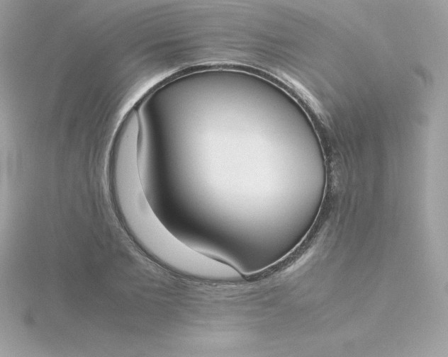 X0000115720885200911251914