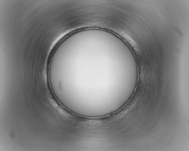 X0000115720888200911251914