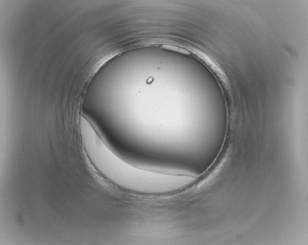 X0000115720905200911251914