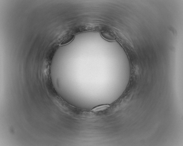 X0000115720914200911251913