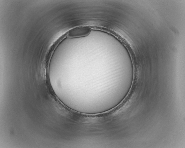 X0000115720925200911251914