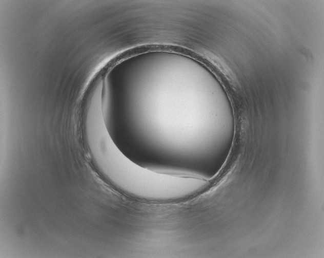 X0000115720926200911251914
