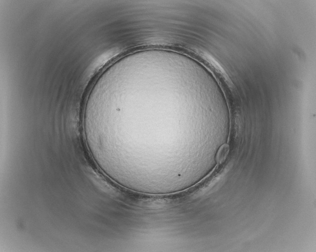 X0000115720930200911251914