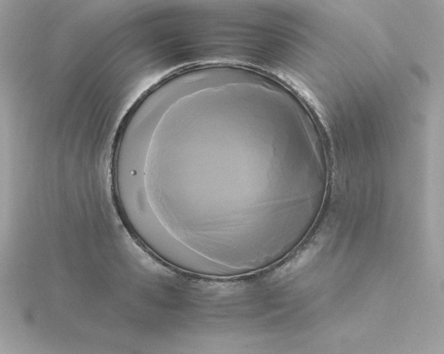 X0000115720941200911251914