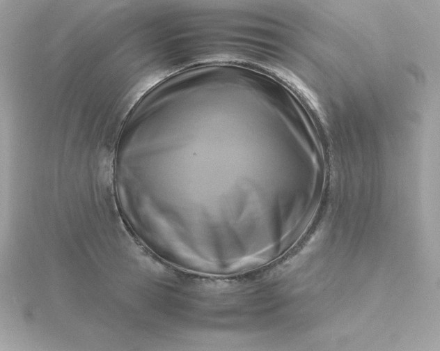 X0000115720945200911251914