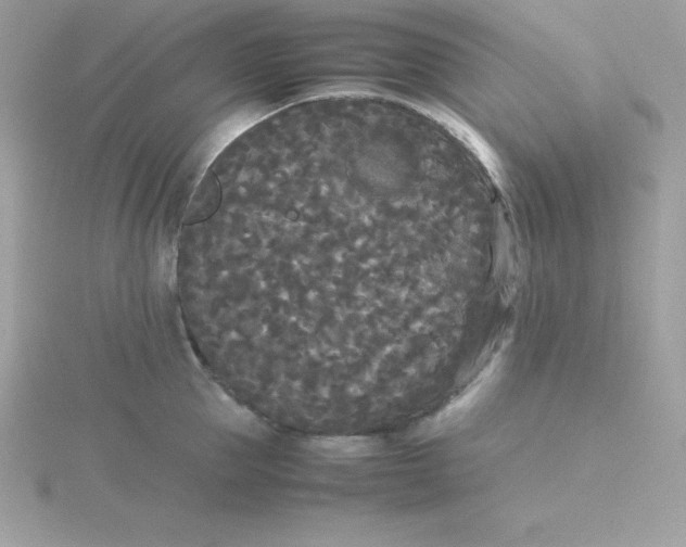 X0000115720953200911251914