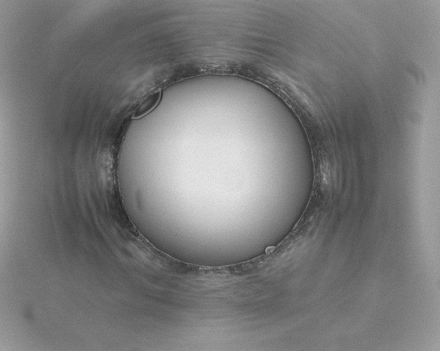 X0000115720964200911251913