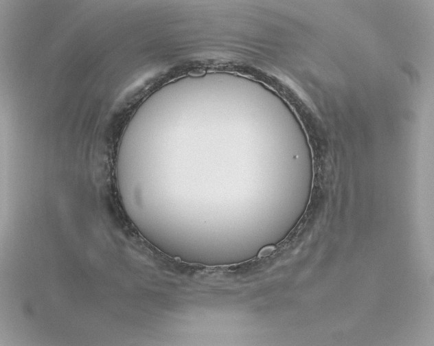 X0000115720967200911251913