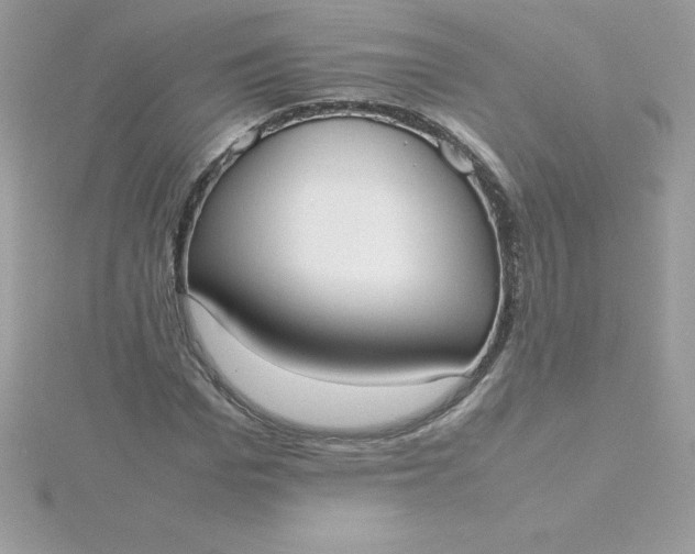X0000115720969200911251913