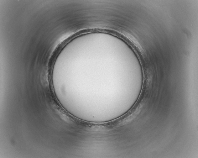 X0000115720974200911251913
