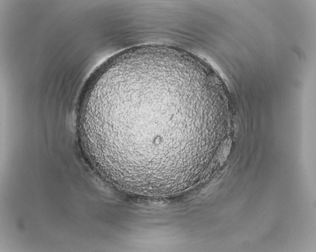 X0000115720975200911251913