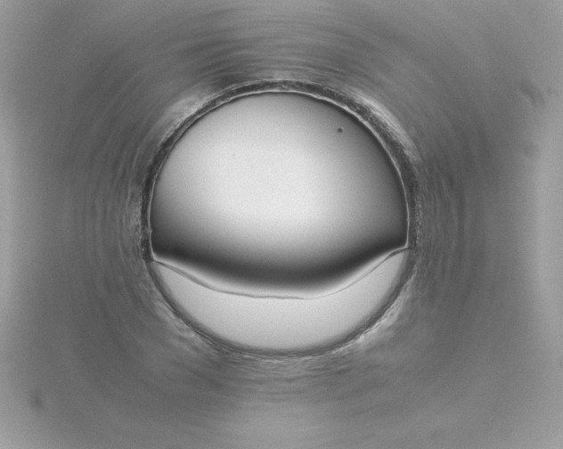 X0000115720977200911251913