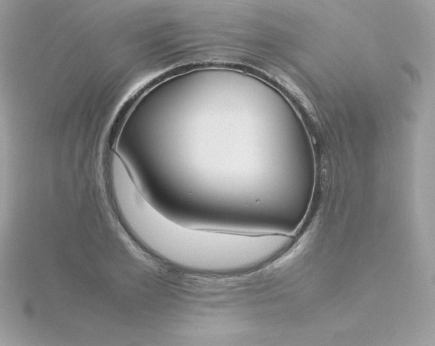 X0000115720981200911251913