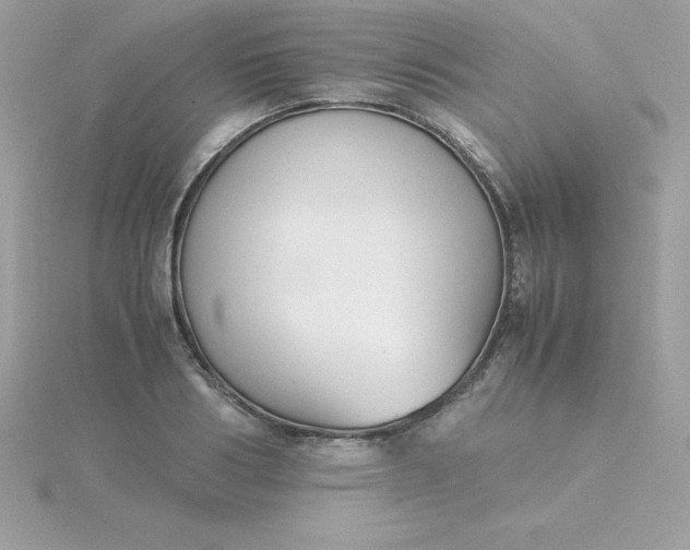 X0000115720986200911251913