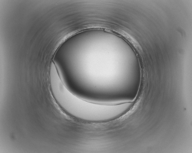 X0000115720993200911251913