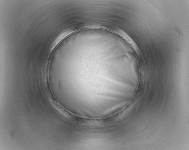 X0000115721002200911251913