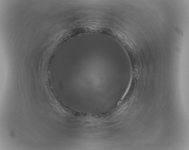 X0000115721009200911251912