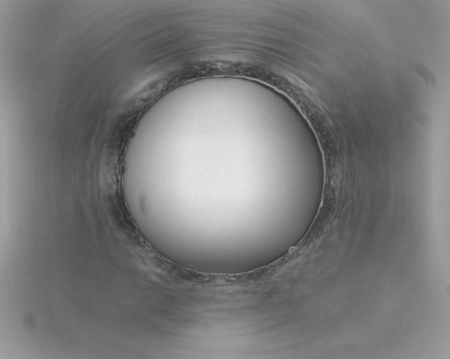 X0000115721014200911251912