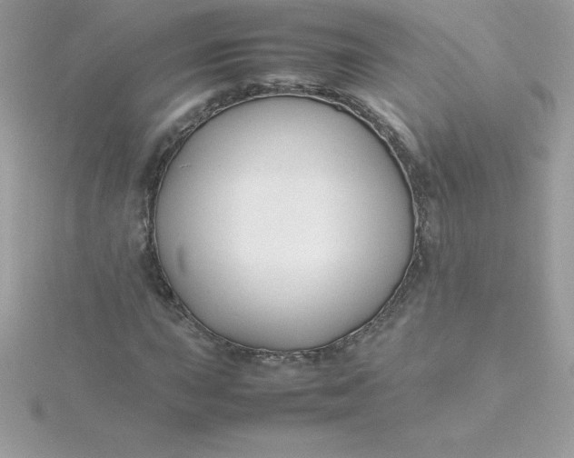 X0000115721015200911251912