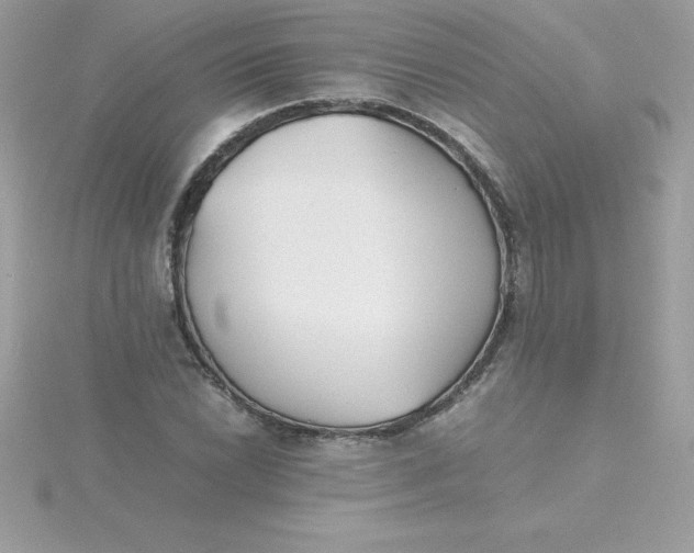 X0000115721022200911251912