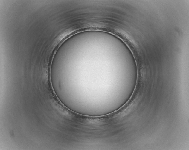 X0000115721025200911251912