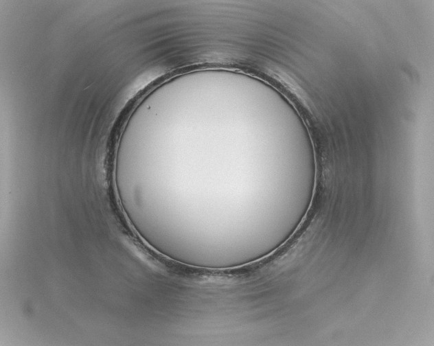 X0000115721026200911251912