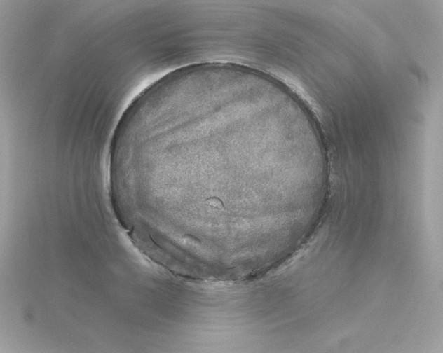 X0000115721032200911251913