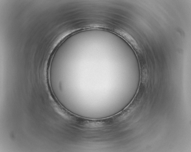 X0000115721039200911251913