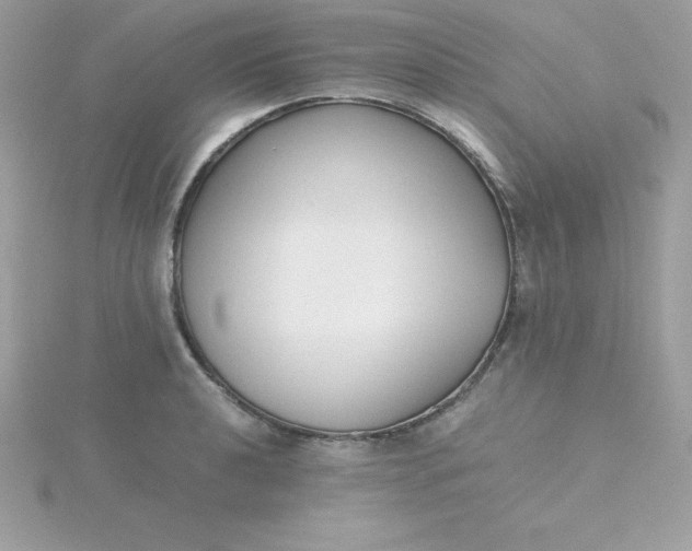 X0000115721040200911251913