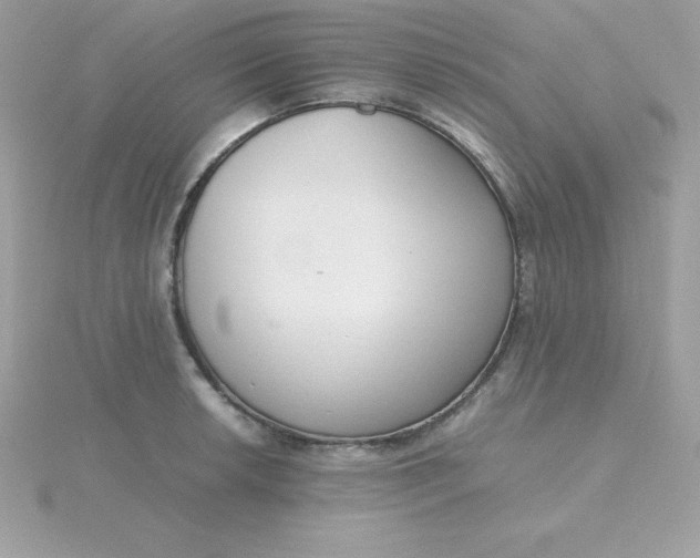 X0000115721042200911251913