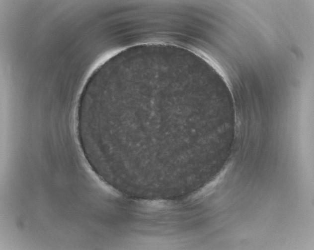 X0000115721045200911251913