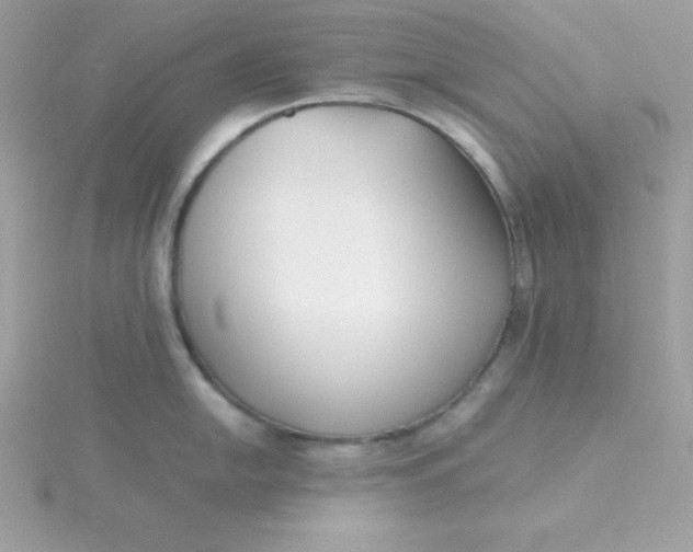 X0000115721054200911251913