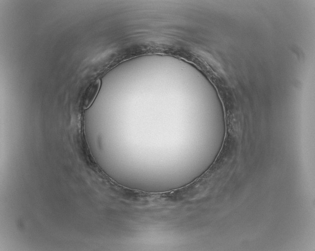X0000115721061200911251912