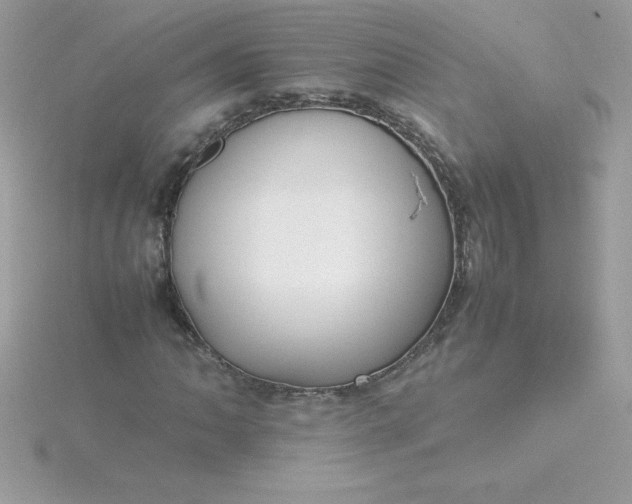 X0000115721062200911251912