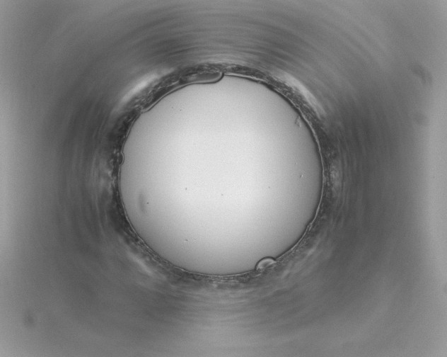 X0000115721064200911251912
