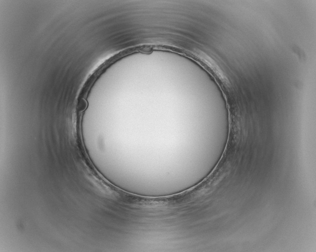 X0000115721076200911251912