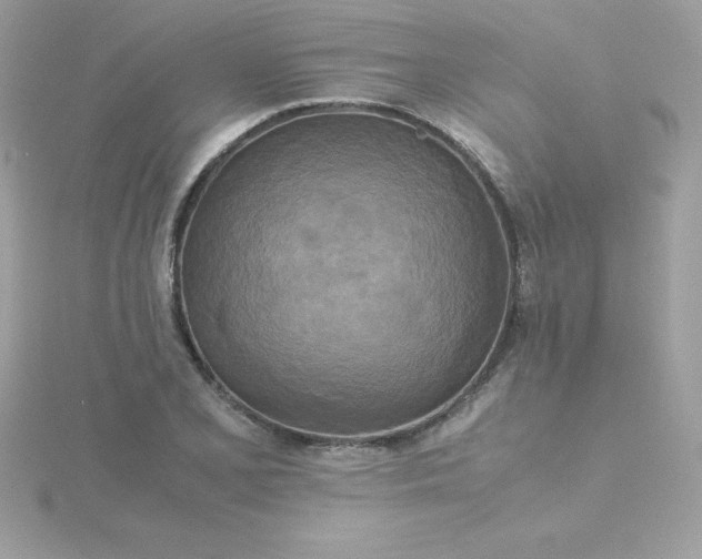 X0000115721077200911251912