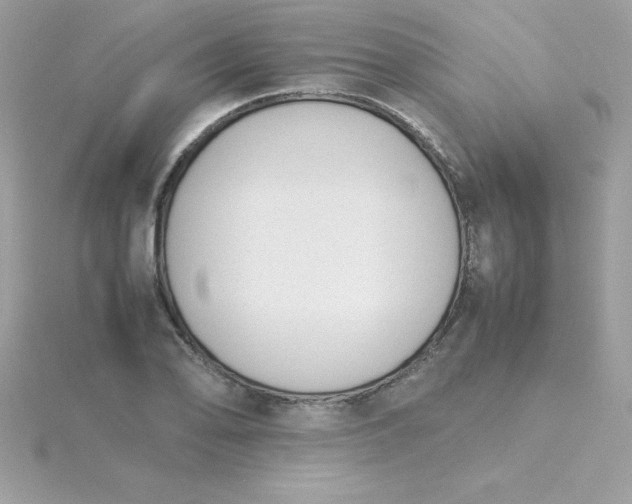 X0000115721078200911251912