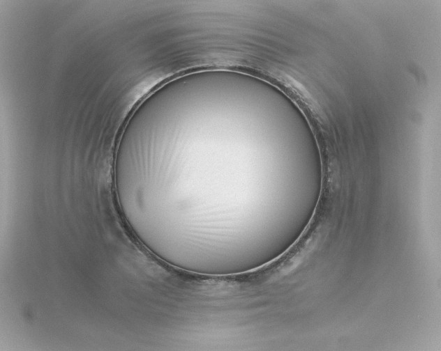 X0000115721081200911251912
