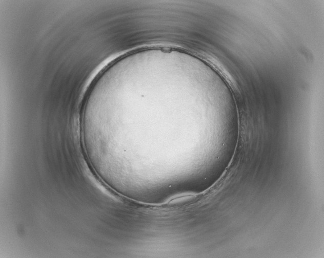 X0000115721092200911251912