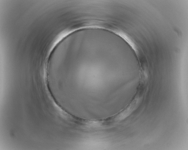 X0000115721101200911251912