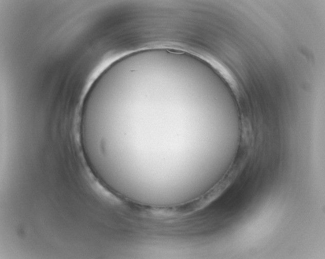 X0000115721102200911251912