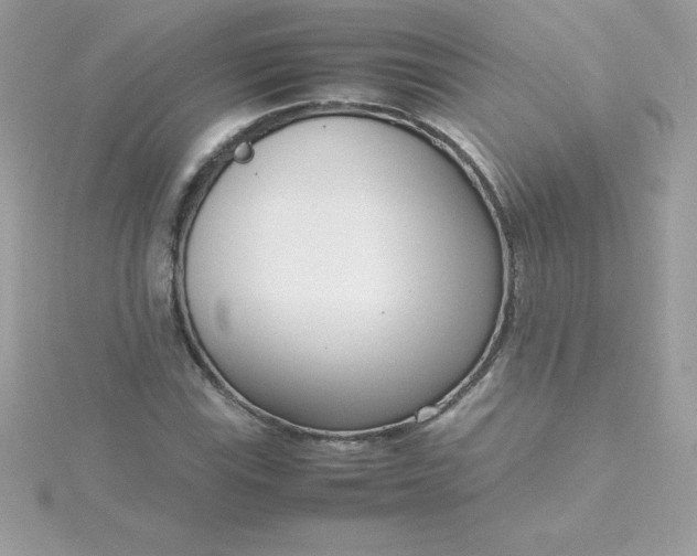 X0000115721115200911251911