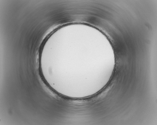 X0000115721126200911251911