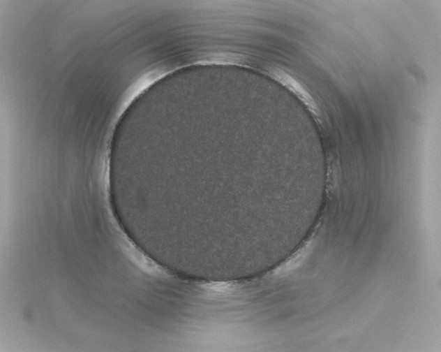 X0000115721130200911251911
