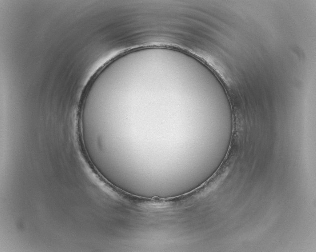 X0000115721134200911251911