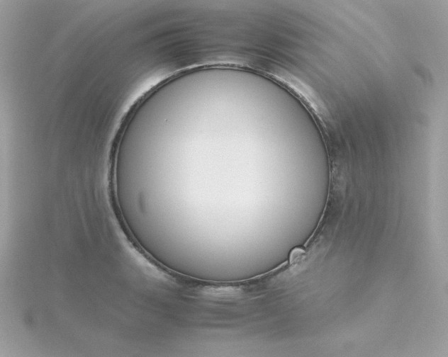 X0000115721135200911251911