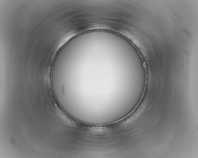X0000115721137200911251911